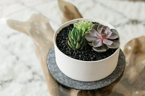Miniatura 5 de Curtis Wagner Plastics Corp. MC-600 - Tapete de corcho para plantas (6 pulgadas de diámetro, 5 unidades) – Posavasos redondos de corcho