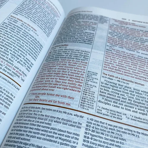 Miniatura 8 de Biblia de estudio NIV personalizada, marrón y azul, ilustrada a mano y grabada con láser, grabado personalizado de nombre disponible, regalo