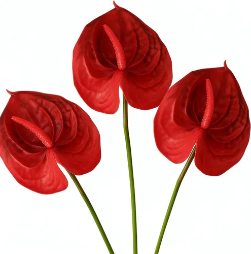 Flores artificiales de anturio, paquete de 6 unidades, 21 pulgadas, color rojo, flores sintéticas de tacto real para decoración del hogar,
