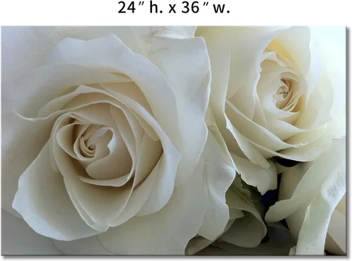 Miniatura 7 de First Wall Art - Enormes rosas en blanco puro arte de la pared pintura imágenes impresas en lienzo flor la imagen para decoración moderna del hogar