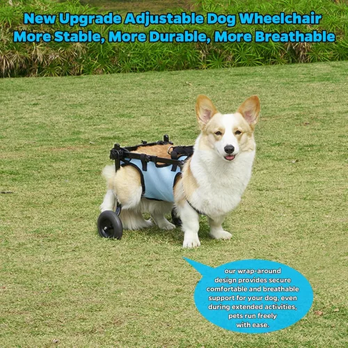Miniatura 7 de celestaura Silla de ruedas para perros para patas traseras, carrito para silla de ruedas para perros, sillas de ruedas para perros y gatos con patas
