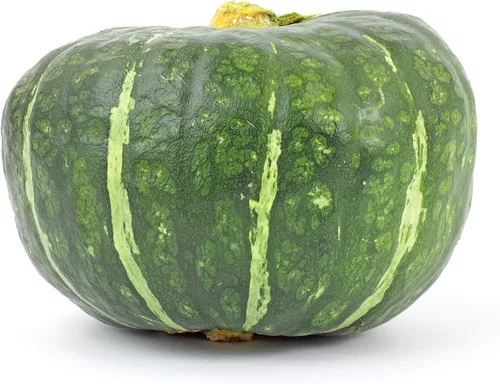 Miniatura 2 de Burgess Buttercup Winter Squash, 25 semillas tradicionales por paquete, semillas sin OMG, nombre botánico: Cucurbita Maxima, Isla's Garden Seeds