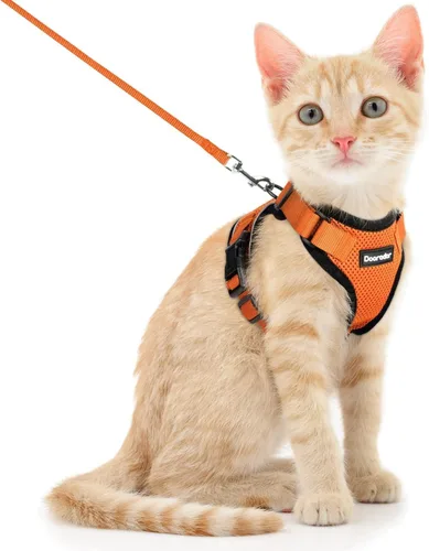 Miniatura 14 de Dooradar Juego de arnés y correa para gato, chaleco ajustable seguro a prueba de escapes, para caminar, chaqueta de malla suave y transpirable