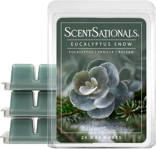 Miniatura 6 de Scentsationals No Place Like Home - Cera perfumada para derretir – Canela y clavo, 10 onzas (24 cubos)