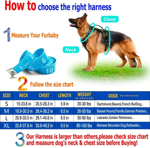 Miniatura 8 de Arnés para perro con luz LED para caminar de forma segura por la noche, chaleco de malla suave que brilla en la oscuridad, chaleco para perros