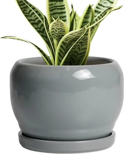 Miniatura 21 de SQOWL Macetas de cerámica – Maceta de 6 pulgadas con orificio de drenaje y bandeja, maceta redonda para plantas de interior, maceta decorativa