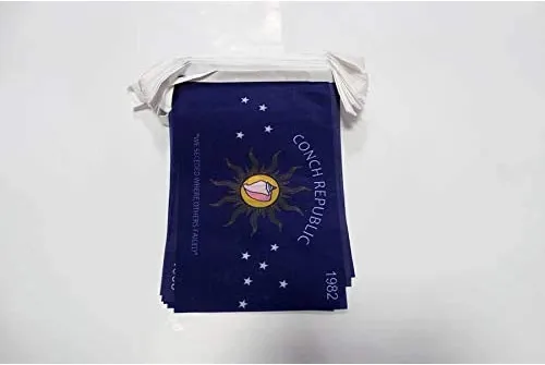 Miniatura 82 de AZ FLAG Señal marítima internacional 42.7 ft BUNTING Flag 40 banderas 9'' x 6'' - Banderas de cuerda del alfabeto náutico 5.9 x 8.3 in