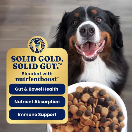 Miniatura 5 de Solid Gold Bison Alimento seco para perros grandes – Alto en proteína, croquetas de grano entero con bisonte real, arroz integral y Omega 3