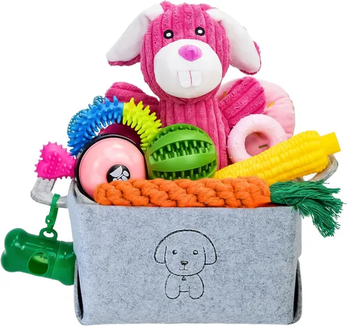 Miniatura 11 de MRSOHRET 20 Piezas Juguetes Masticables para Cachorros en Dentición, Juguetes Masticables para Perros con Juguete de Cuerda, Cepillo de Dientes