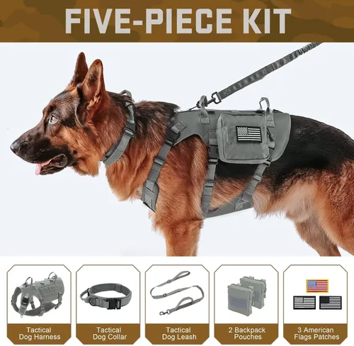 Miniatura 2 de Forestpaw Arnés Táctico para Perros Grandes, Collar Táctico para Perro con Conjunto de Correa Elástica, Arnés Militar para Perro Sin Tirones