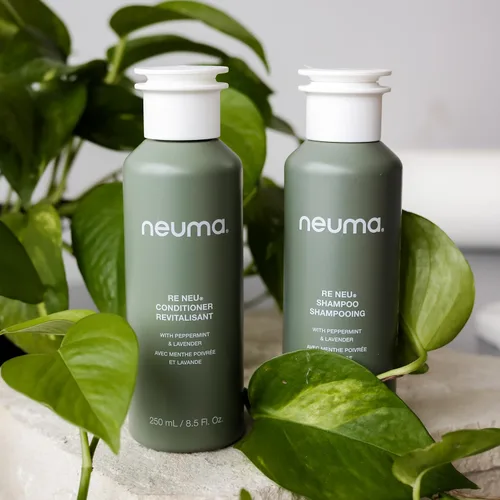 Miniatura 10 de Neuma Re Neu Champú sin sulfato para eliminación de acumulación y cuidado del cuero cabelludo Champú aclarante con menta y lavanda Fórmula
