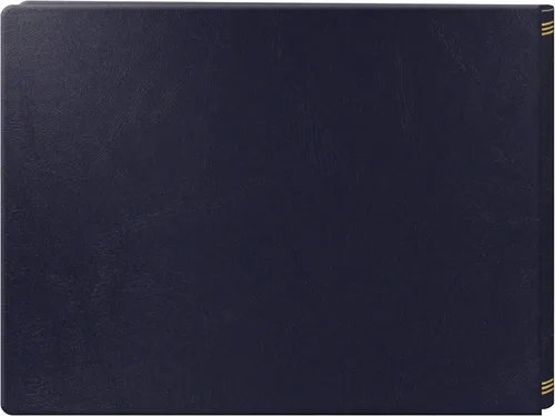 Miniatura 2 de Pioneer Jumbo álbum XPando con páginas magnéticas