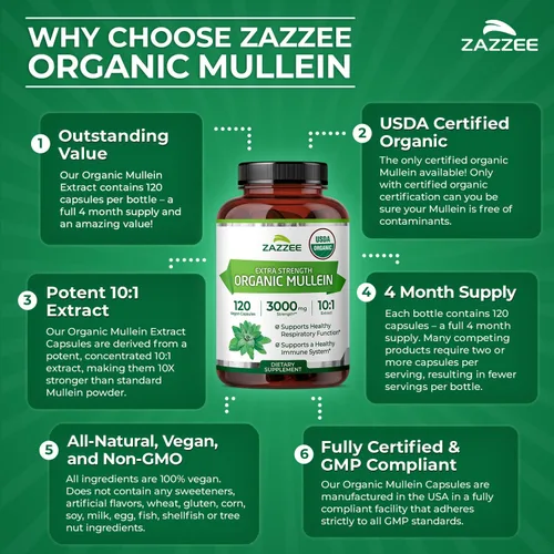 Miniatura 6 de Zazzee USDA Organic Mullein Leaf 10:1 Extracto, 120 cápsulas veganas, suministro para 4 meses, Verbascum Thapsus, soporte respiratorio y pulmonar