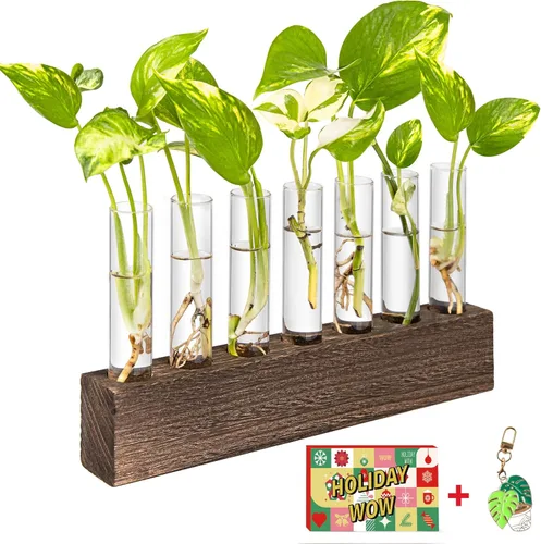 KAXYEW Estación de Propagación de Plantas de Escritorio de Vidrio con Tubo de Ensayo, Terrario de Plantas en Soporte de Madera para Plantas Marrón