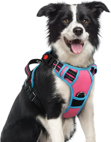 Miniatura 20 de rabbitgoo Arnés para perro de tamaño pequeño, chaleco para perro sin tirones con 3 hebillas, arnés ajustable y acolchado suave para mascotas con asa