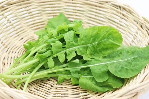 Miniatura 3 de Astro Rúcula Semillas de lechuga para plantar, más de 1000 semillas de reliquia por paquete, semillas de jardín de Isla