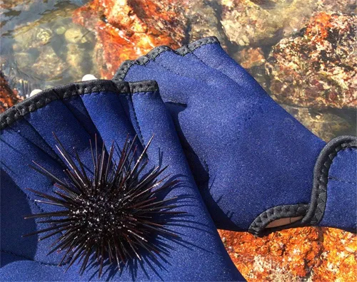 Miniatura 3 de 1 par de guantes de malla de natación, guantes de entrenamiento, palas de fitness acuático, resistencia al agua, tela de mano para hombres, mujeres