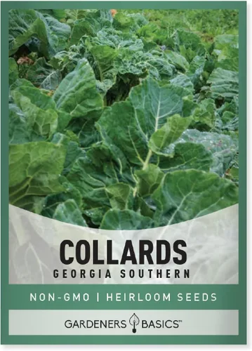 Gardeners Basics, Semillas de col para plantar, variedad de verduras sin OMG del sur de Georgia, semillas de 0.04 oz (1 gramo), ideales para
