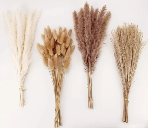 Miniatura 17 de Decoración de hierba de pampa seca natural, 100 piezas de hierba de pampa que contiene colas de conejo blancas flores secas, ramo de hierba de caña