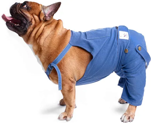 Miniatura 4 de iChoue Lindos pañales para perro con tirantes para bulldog francés, pug francés, bulldog inglés, hembra, en ciclo de calor, azul, pequeño con 1 pañal
