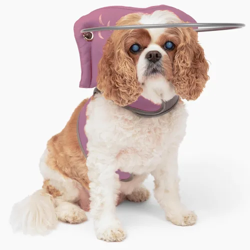 Miniatura 12 de Muffin's Halo® - El halo original para perro ciego Arnés y collar de parachoques accesorio para una navegación segura y confianza - Negro, talla 1