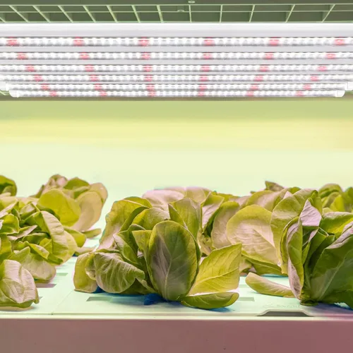Miniatura 5 de GYTF T5 Luces de crecimiento, 408 bombillas LED blancas de espectro completo de alto PPFD tiras de luz para plantas de interior, invernadero, inicio