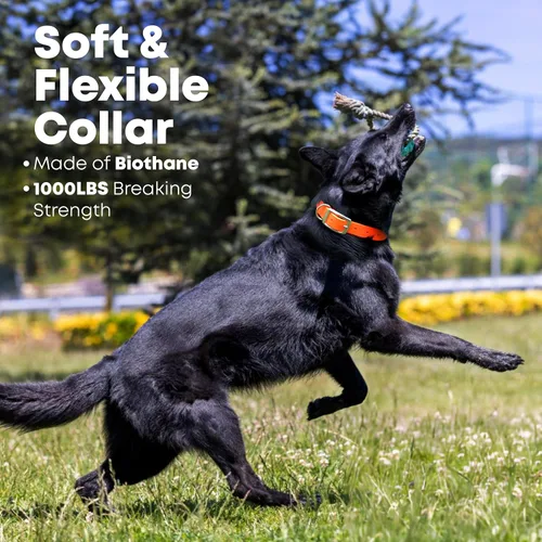 Miniatura 4 de Collar impermeable para perro con anillo central resistente Collar para perros pequeños, medianos, grandes o XL, Anaranjado