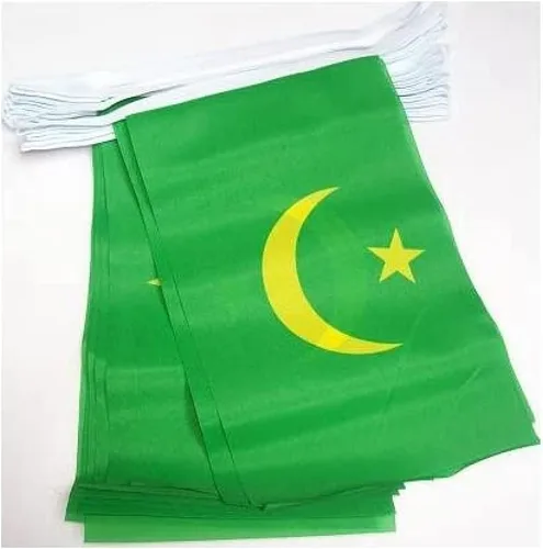Miniatura 5 de AZ FLAG Señal marítima internacional 42.7 ft BUNTING Flag 40 banderas 9'' x 6'' - Banderas de cuerda del alfabeto náutico 5.9 x 8.3 in