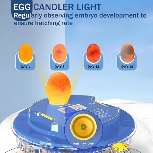 Miniatura 6 de Incubadora de 18 huevos con giro automático de huevos y control de humedad, recarga de agua, vela de huevos, incubadoras para incubar pollo, patos