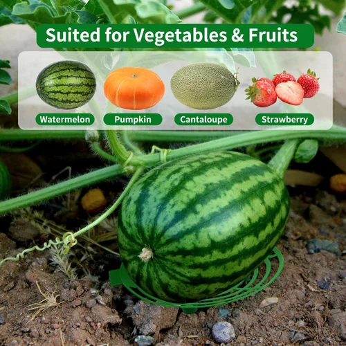 Miniatura 4 de Paquete de 15 bases de melón para soporte de calabaza de jardín, enrejado, evita la pudrición del suelo, soporte de plástico para plantas y jardín