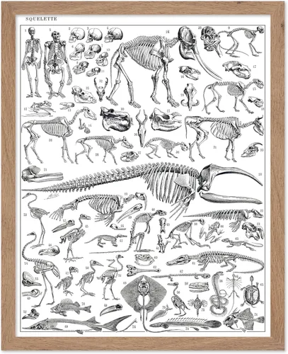 Miniatura 72 de Poster Master Póster vintage de miel, impresión retro de La Vie De L'Abeille, arte de panal de abeja, arte de pared de abeja, regalo para hombres