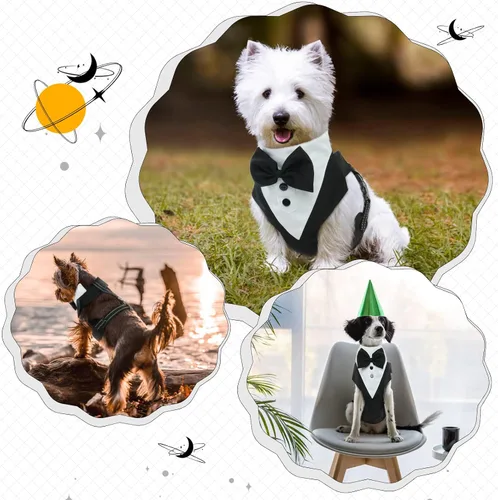 Miniatura 7 de Arnés de esmoquin para perro, arnés de esmoquin para perro sin tirones con correa, disfraz de traje de boda ajustable con pajarita para perros