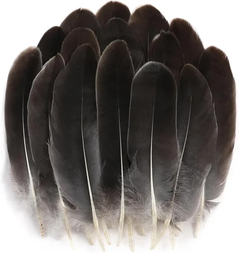 Miniatura 18 de Holmgren Plumas de Artesanía de Mardi Gras a Granel – 200 piezas Plumas de Ganso Grandes de 5-6 pulgadas para Decoración de Mardi Gras Carnaval