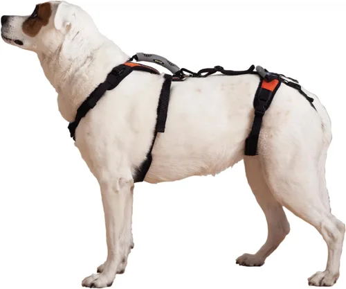 Arnés Help 'Em Up │ Arnés de elevación ajustable para perros │ Soporte de cuerpo completo, soporte de patas traseras (Convencional, Mediano)