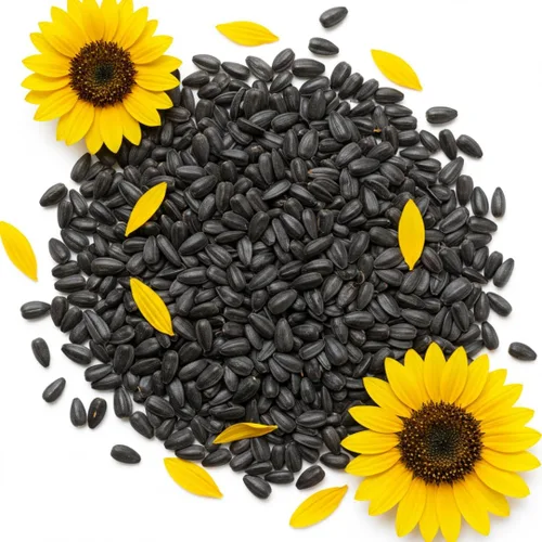 Semillas de girasol de aceite negro para plantar, más de 100 semillas, fabricadas en Estados Unidos, atraen pájaros, producen aceite de girasol