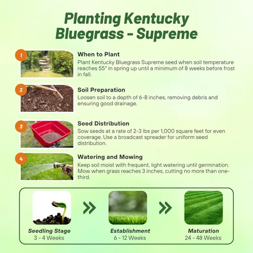 Miniatura 4 de Outsidepride Supreme Kentucky Bluegrass Seed Mix - 25 libras tolerante al frío, textura fina con revestimiento OptiGrowth para mejorar las semillas