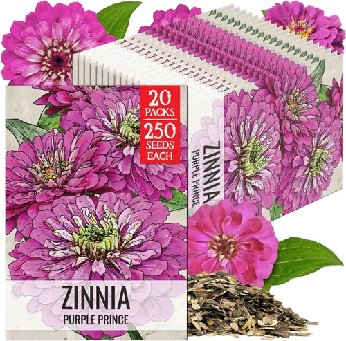 Miniatura 26 de Seed Needs California Giants - Semillas de zinnia – 250 semillas tradicionales para plantar Zinnia elegans – Cultiva flores anuales polinizadas