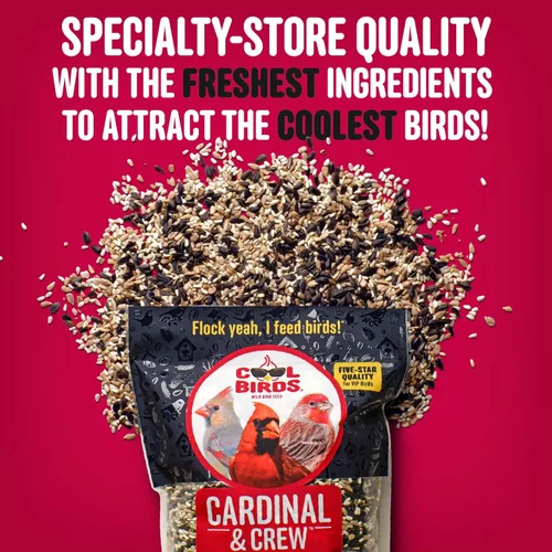 Miniatura 4 de Cool Birds Cardinal & Crew Semilla para Aves Silvestres – 10 lb. Girasol de Aceite Negro, Corazones de Girasol y Mezcla de Cártamo para Cardenales