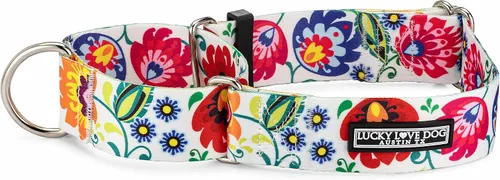 Miniatura 6 de Lucky Love Dog Collar Ancho para Perros - Collar Ajustable, Duradero, Tejido Suave y Cómodo de 1.5 Pulgadas de Ancho para Perros Machos y Hembras