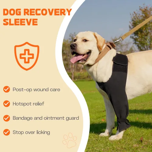 Miniatura 4 de Manga de Recuperación Pawfun para Perro para la Pata Delantera – Manga Única para Perro para Detener el Lamido – Protección Transpirable para Dolor