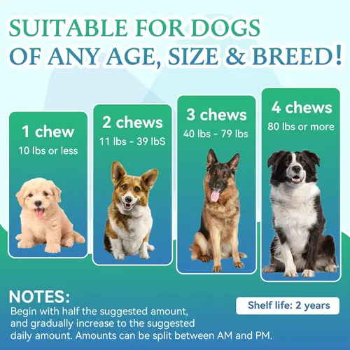 Miniatura 4 de WEALLIN Suplemento articular para perros, suplemento para articulaciones de perro, glucosamina, condroitina para cadera y articulaciones, golosinas