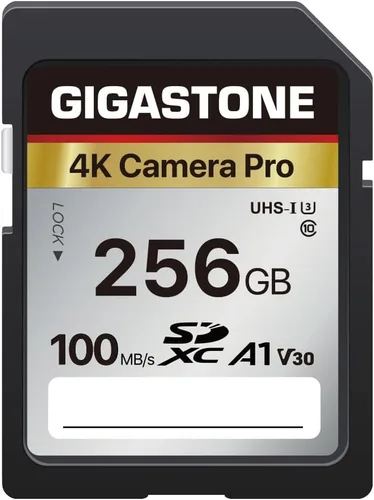 Recuperación de datos de 5 años: tarjeta SD GIGASTONE de 256 GB, cámara 4K Pro, tarjeta de memoria A1 V30 SDXC 4K UHD Video compatible con cámara