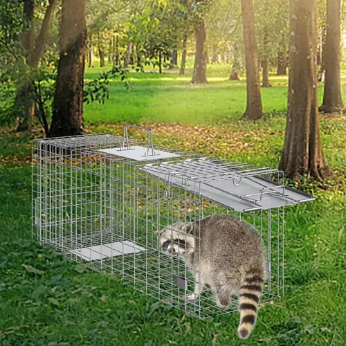 Miniatura 8 de VEVOR Trampa de jaula para animales vivos, 31 x 10 x 12 pulgadas, trampa para gatos humanitarios de hierro galvanizado, trampa plegable