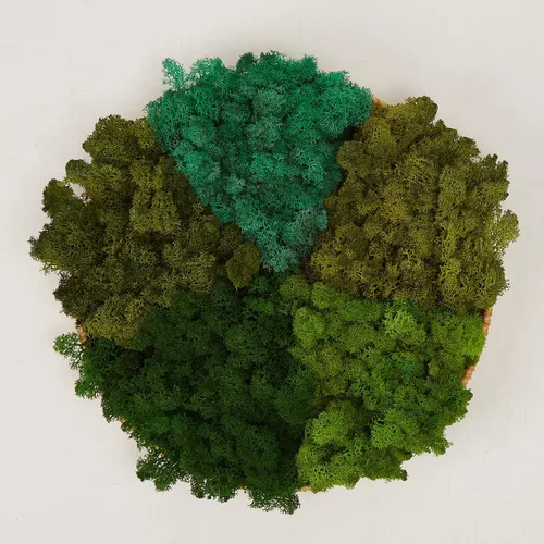 Miniatura 49 de Musgo de Reno Preservado Verde Natural Kit de Bricolaje Arte de Jardinería Decoración de Pared Decoración de Floristería Decoración de Mesa