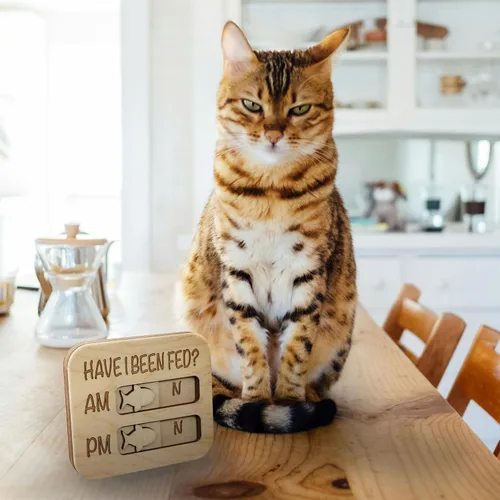 Miniatura 4 de JennyGems Recordatorio de alimentación para gatos, ¿He sido alimentado? Rastreador magnético de alimentación de gatos AM PM, control deslizante
