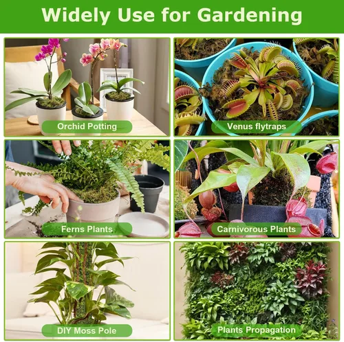 Miniatura 5 de Legigo Musgo esfagnum de 3.5 onzas para plantas, mezcla para macetas de musgo de orquídea natural de 4 cuartos de galón, mezcla seca, musgo