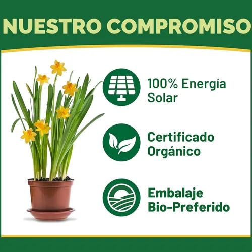 Miniatura 5 de Espoma Organic Plant-Tone 5-3-3 Alimento vegetal natural y orgánico multipropósito; bolsa de 50 libras; el fertilizante orgánico original para todas