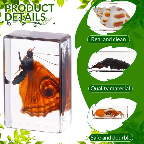 Miniatura 4 de 40 piezas de insectos en resina colección de insectos, pisapapeles, insectos reales en resina, varios espécimenes de insectos para niños