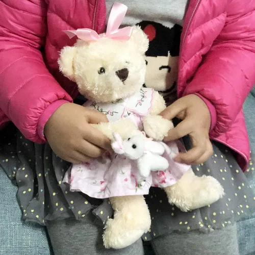 Miniatura 6 de Oitscute - Oso de peluche pequeño para bebé con tela, lindo animal de peluche suave de 10 pulgadas (vestido rosa con conejo)