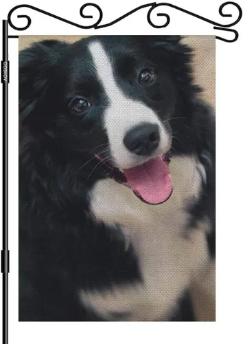 AOYEGO Border Collie - Bandera de arpillera de doble cara de tela de alta calidad para perros, mascotas, cachorros, animales en blanco y negro,